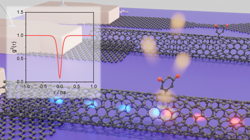 Correlation Measurements for Carbon Nanotubes with Quantum Defects