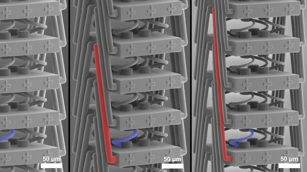 Micrograph of a metamaterial supporting anomalous frozen evanescent phonons