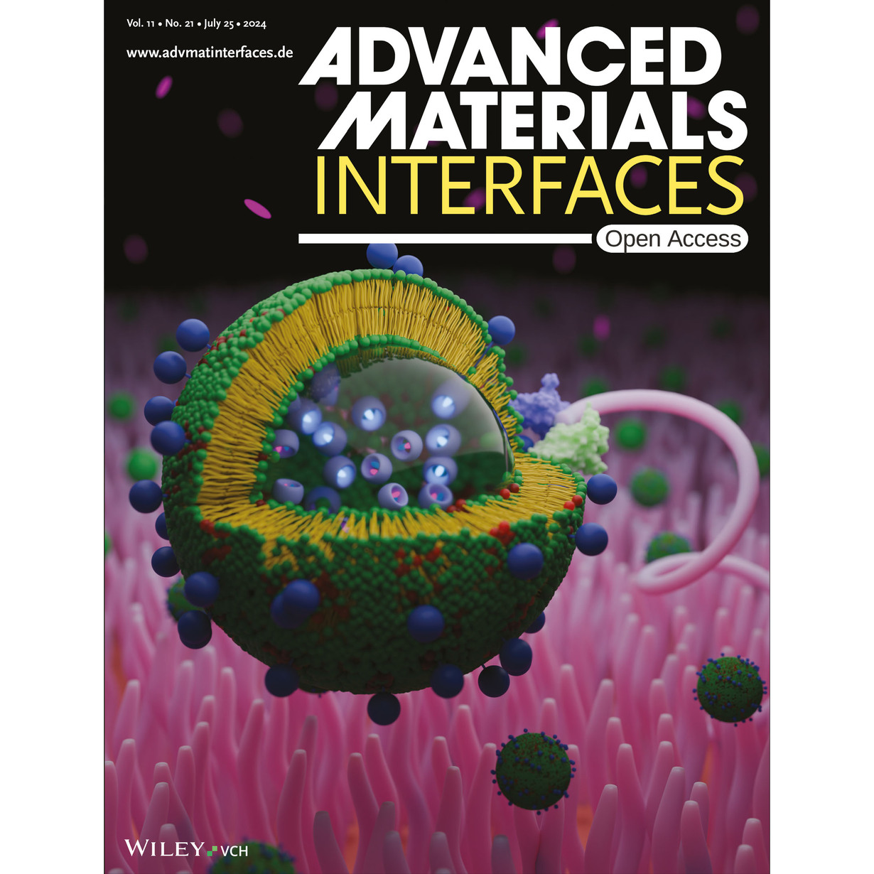 Cover Advanced Materials Interfaces