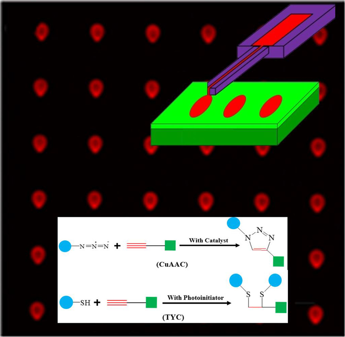 Diagram showing CuAAC and TYC chemical reactions for surface patterning.